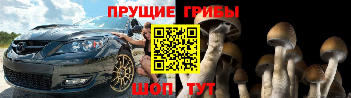 Галлюциногенные грибы прущие грибы  Вход с VPN  Курганинск 